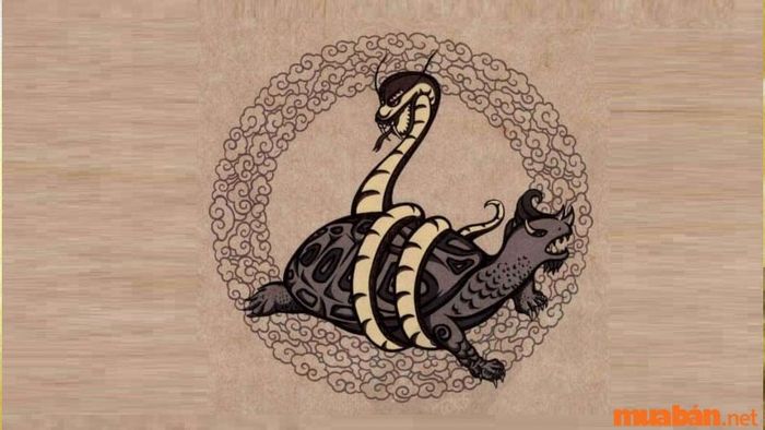 Chòm Huyền Vũ trong hệ Nhị Thập Bát Tú
