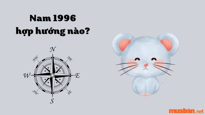 Nam Bính Tý 1996 nên chọn hướng nào?