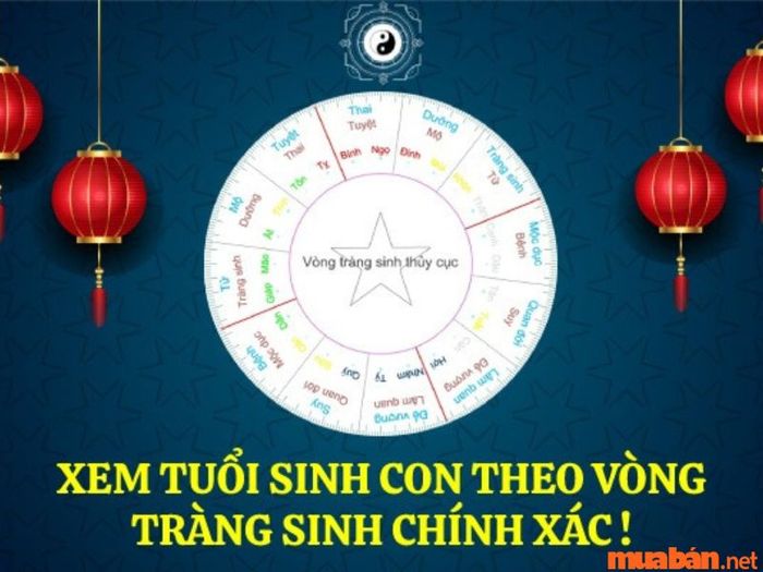 Phân tích cách sinh con dựa theo vòng Tràng sinh chính xác nhất