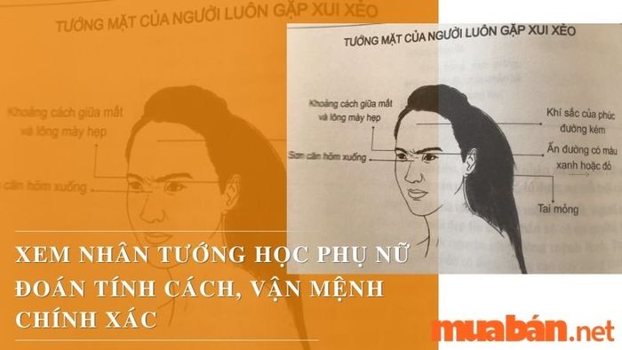 Nhân tướng học phụ nữ giúp phán đoán tổng quan về vận mệnh thông qua việc quan sát các đặc điểm trên khuôn mặt.