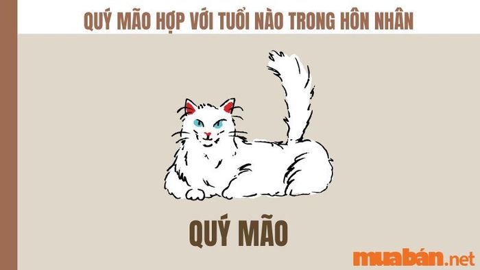 Quý Mão hợp với tuổi nào trong hôn nhân?