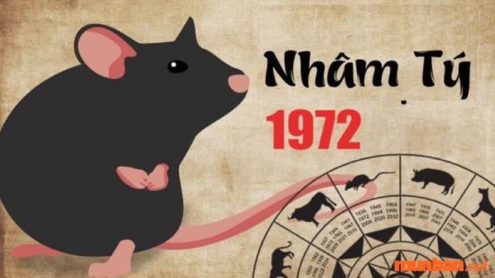 Khám phá tổng quan về người tuổi Nhâm Tý 1972