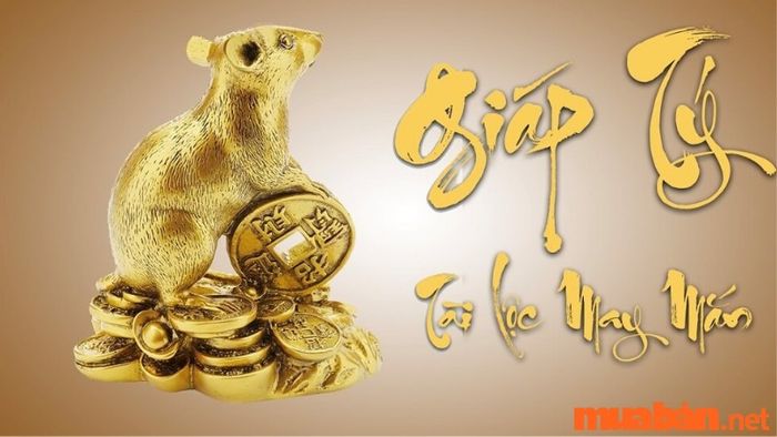 Tuổi Tý hợp màu gì