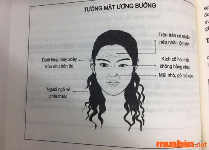 Nhân tướng học phụ nữ: Tướng mặt phụ nữ ương bướng