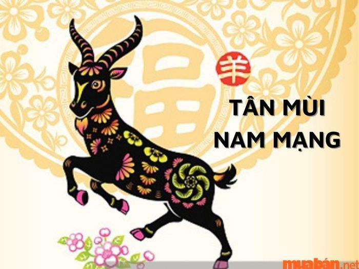 Nam gia chủ Tân Mùi 1991 nên chọn hướng nào?
