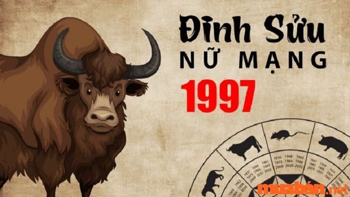 Nữ 1997 nên lấy chồng tuổi nào để hợp duyên? Tham khảo ngay!