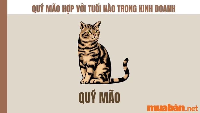 Tuổi Quý Mão hợp với tuổi nào trong công việc và kinh doanh?