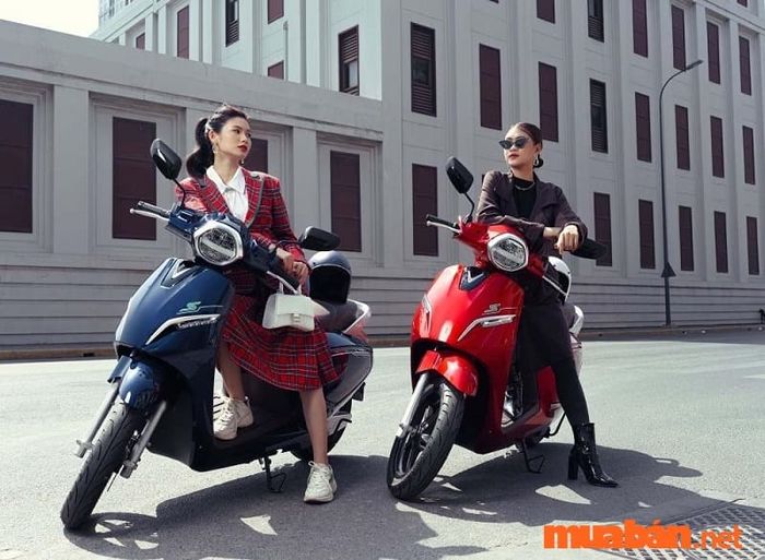 Mức phạt này cũng áp dụng cho chủ sở hữu xe máy 50cc.