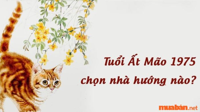 Hướng nhà tốt cho nữ tuổi Ất Mão 1975