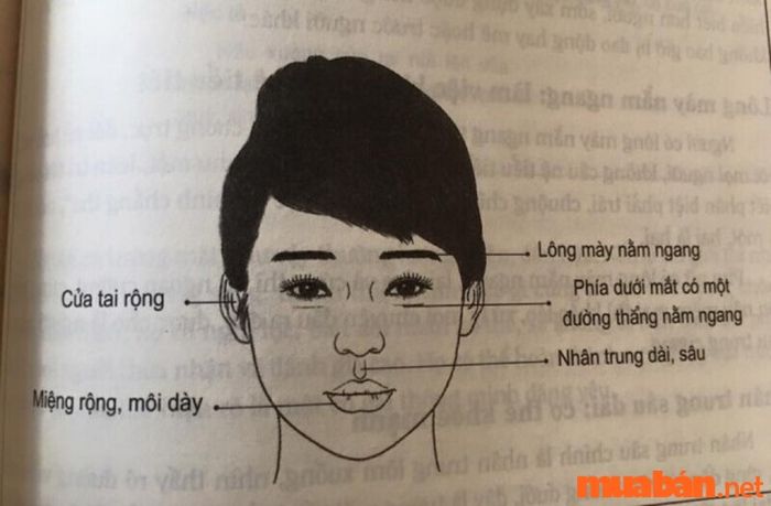Nhân tướng học phụ nữ cho biết, những người phụ nữ có tướng mặt mạnh mẽ thường có những đặc điểm rõ nét về tinh thần kiên cường, quyết đoán và luôn dám đối mặt với thử thách trong cuộc sống.