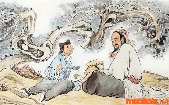 sao de vuong 3