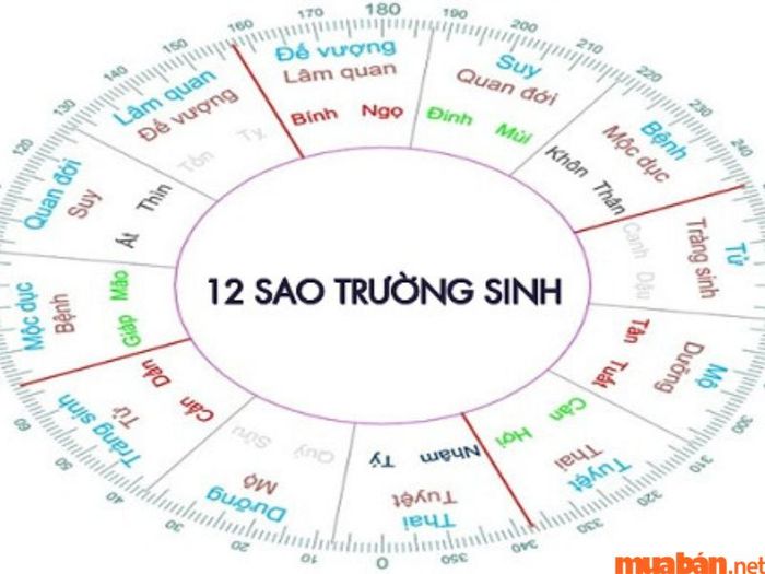 12 sao tương ứng với các giai đoạn trong vòng đời