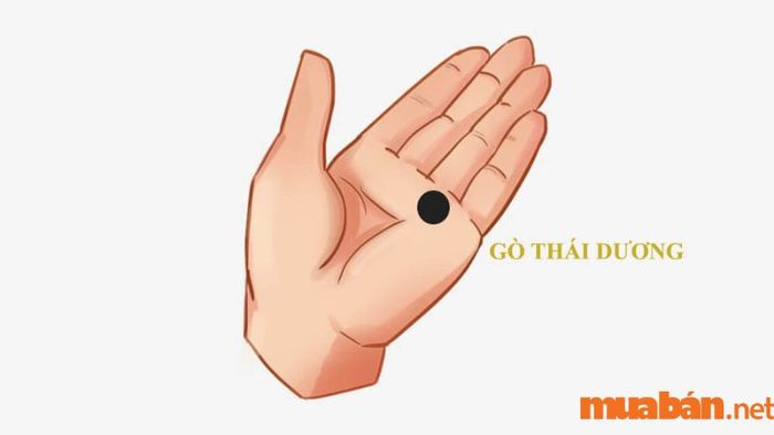 Gò Thái Dương biểu hiện cho sự nhiệt huyết, tràn đầy năng lượng và sự sáng tạo trong công việc cũng như trong cuộc sống.
