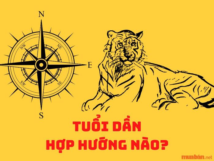 Người sinh năm 1998 nên chọn hướng nào để có phong thủy tốt nhất?