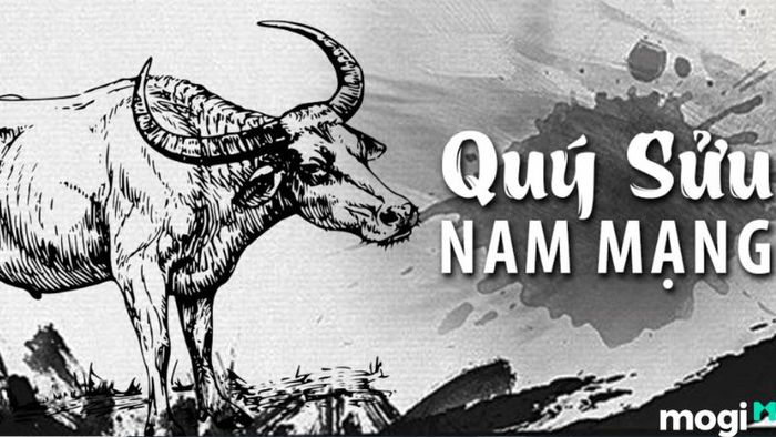 Hướng tốt dành cho nam mạng tuổi Quý Sửu 1973