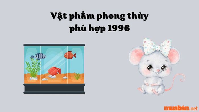 Bể cá phong thủy cho gia chủ 1996