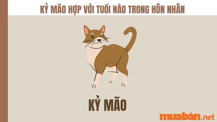 Kỷ Mão hợp với những tuổi nào trong hôn nhân?
