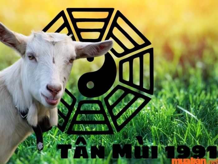 Tuổi Tân Mùi 1991 hợp hướng nào?