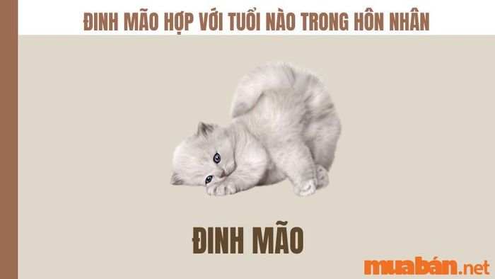 Đinh Mão nên kết hôn với những tuổi nào?
