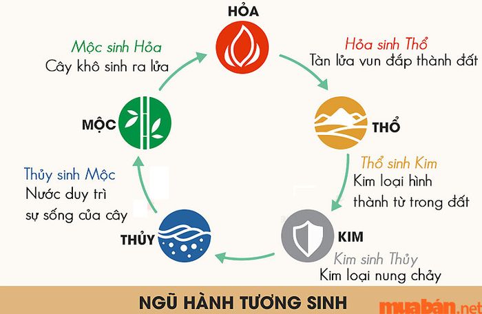Quy luật tương sinh của Ngũ hành Kim Mộc Thủy Hỏa Thổ