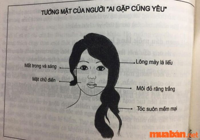 Theo nhân tướng học, những người phụ nữ có tướng mặt đào hoa, dễ ngoại tình thường sở hữu các đặc điểm như lông mày lá liễu, khuôn mặt hình chữ điền, ánh mắt trong trẻo, tóc mềm mượt và hơi mỏng.