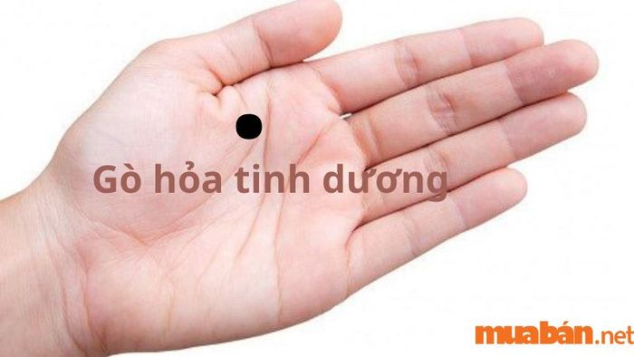 Gò Hỏa tinh dương tượng trưng cho sự đam mê, lòng can đảm và khát vọng hành động mạnh mẽ.