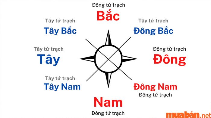 Hướng bếp cho nhà hướng Đông là gì? Bạn nên ưu tiên chọn hướng bếp sao cho phù hợp với cung mệnh của gia chủ để mang lại tài lộc và may mắn.