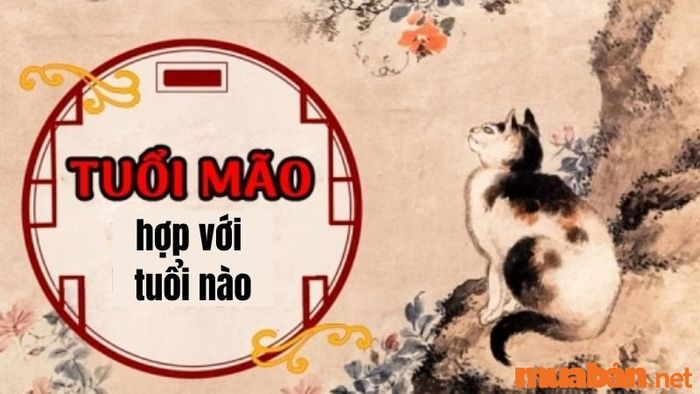 Tuổi Mão kết hợp với tuổi nào?