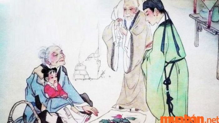 Cung Tử Tức – Vị trí của sao Đẩu Quân trong lá số