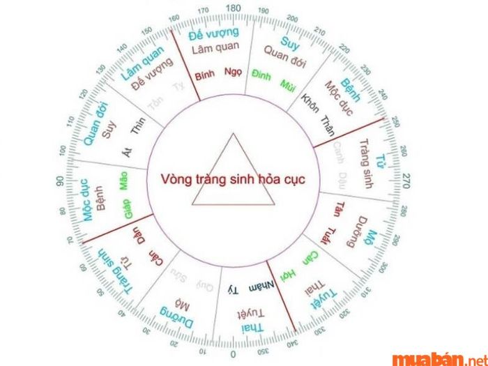 Ý nghĩa của vòng tràng sinh