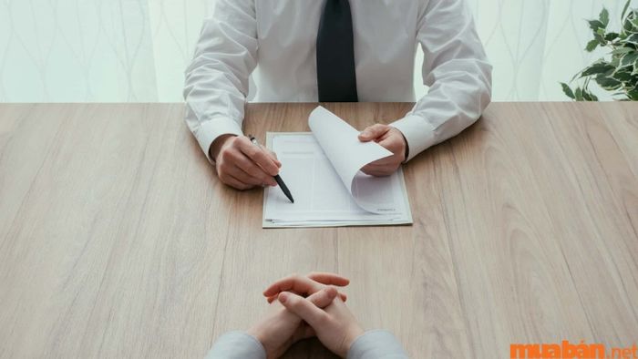 Bạn mong đợi gì từ sếp của mình? (What do you expect from your boss/director?)