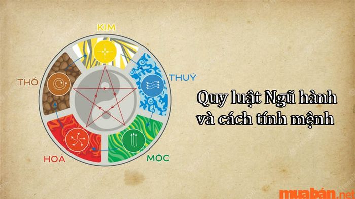 Ngũ hành Kim Mộc Thủy Hỏa Thổ là gì?