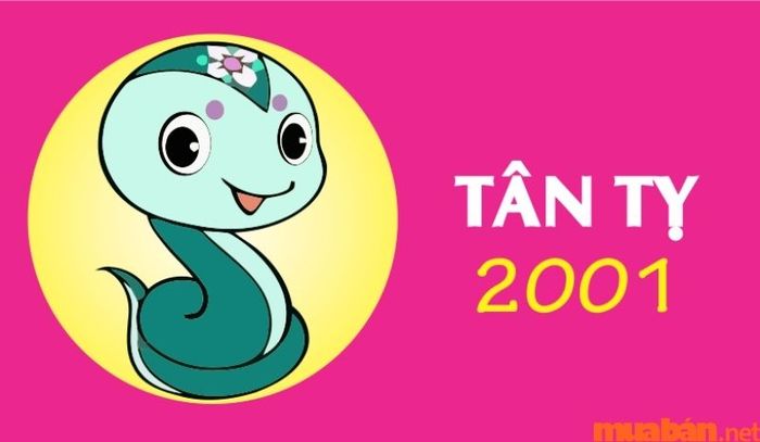 Tổng quan về nam giới sinh năm Tân Tỵ 2001