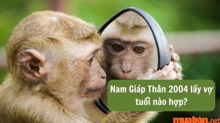 Nam Giáp Thân 2004 nên chọn vợ tuổi nào là hợp lý nhất?