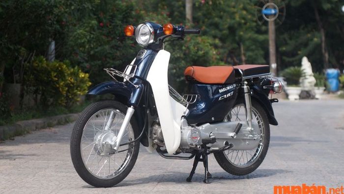 Mẫu xe máy 50cc Cub Dealim