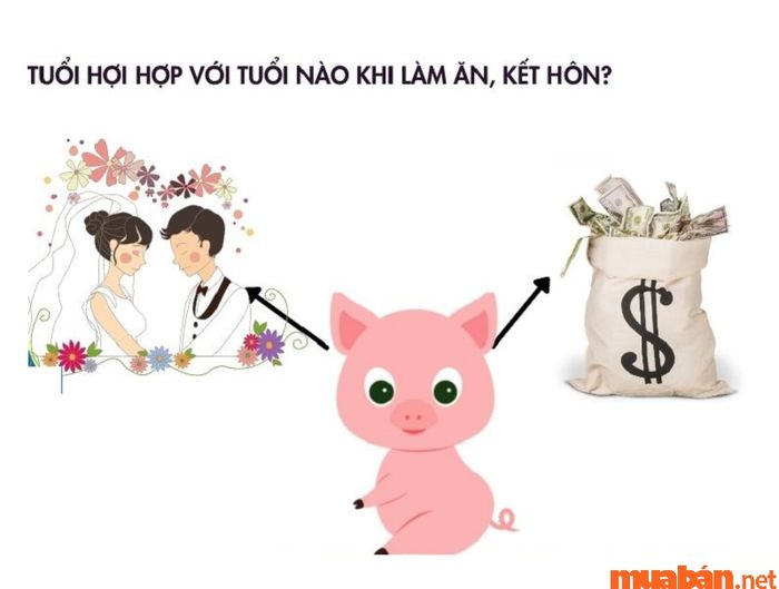 Tuổi Hợi kết hợp với tuổi nào trong công việc?