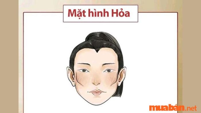 Vượng phu là gì?