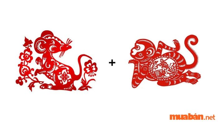 Tuổi Tý kết hợp với tuổi Thân