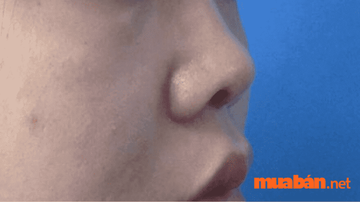nhân tướng học về tướng mũi phụ nữ