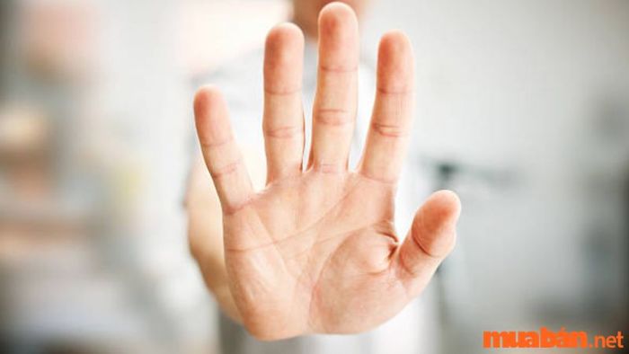 Bảo thủ và cứng đầu