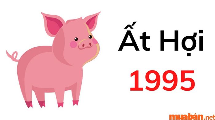 Ất Hợi 1995