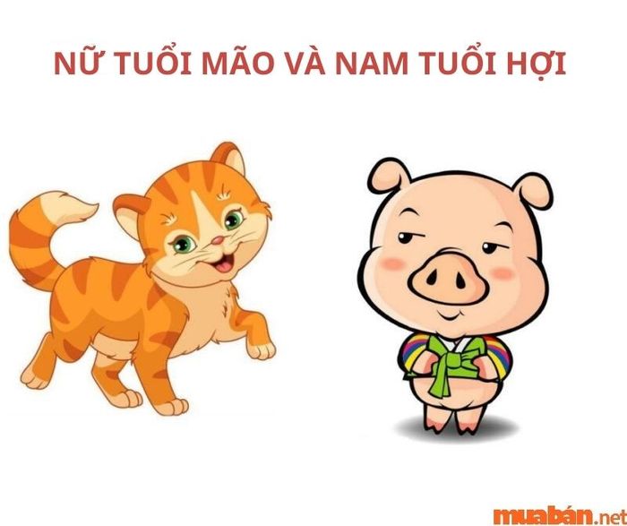 Nam tuổi Hợi và nữ tuổi Mão có hợp nhau không?