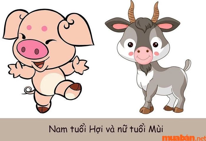 Nam tuổi Hợi và nữ tuổi Mùi có hợp nhau không?