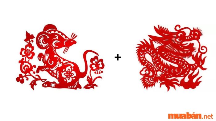 Tuổi Tý kết hợp với tuổi Thìn