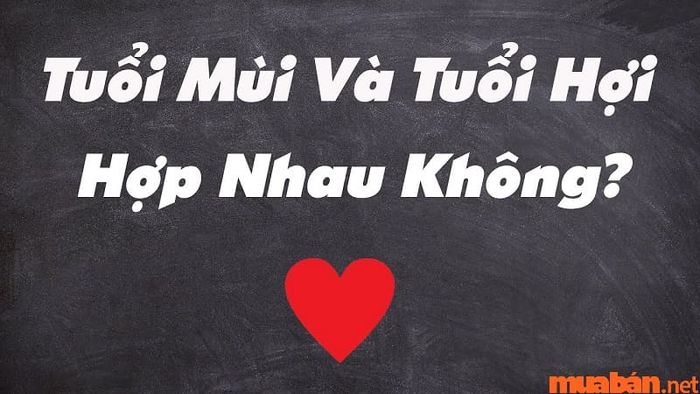Nữ tuổi Hợi và nam tuổi Mùi có hợp nhau không?