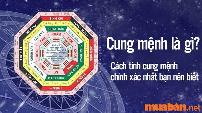 Cung mệnh là gì? Cách tính cung mệnh chính xác mà bạn cần nắm vững