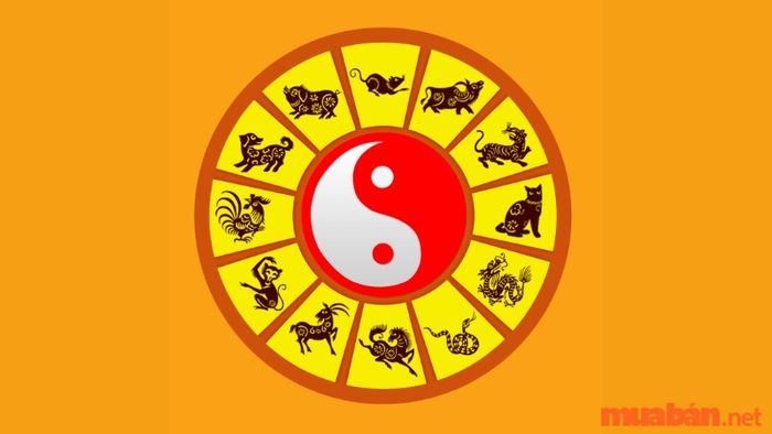 Tam hợp tuổi Tý có ý nghĩa gì?
