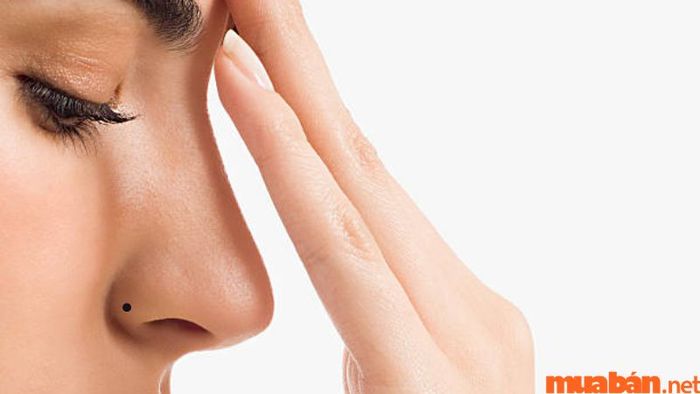Nốt ruồi ở cánh mũi là dấu hiệu cho thấy người phụ nữ sở hữu tài lộc và cuộc sống viên mãn. Vị trí này giúp họ dễ dàng xây dựng các mối quan hệ tốt đẹp và có một cuộc sống hạnh phúc.