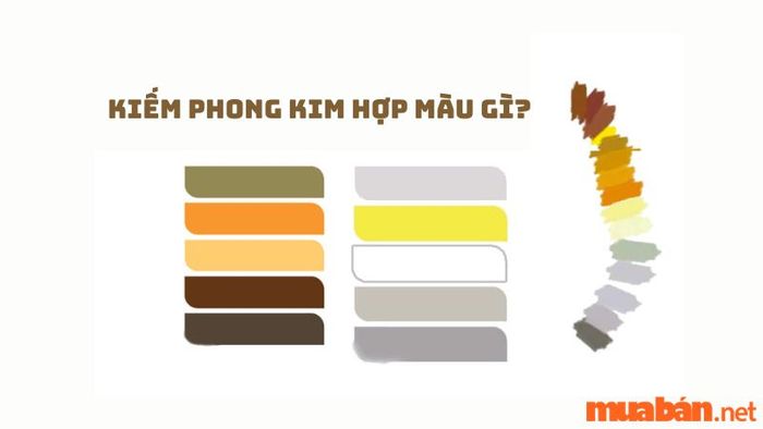 Màu sắc phù hợp với Kiếm Phong Kim?