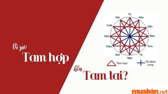 Tam hợp hóa tam tai là gì?